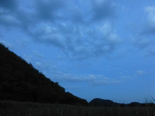 It's a little hard to see them, but you can see a zig-zag trail of bats coming from the mountain.
