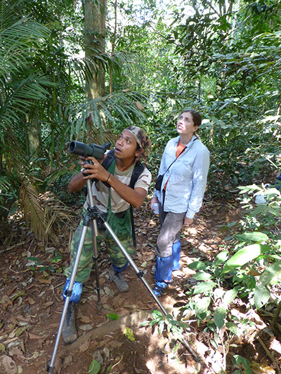 Bird watching is hard work. They move very fast.