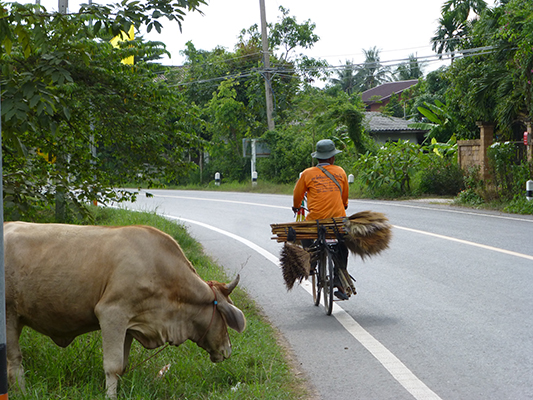 This is just to show how rural the place was. 