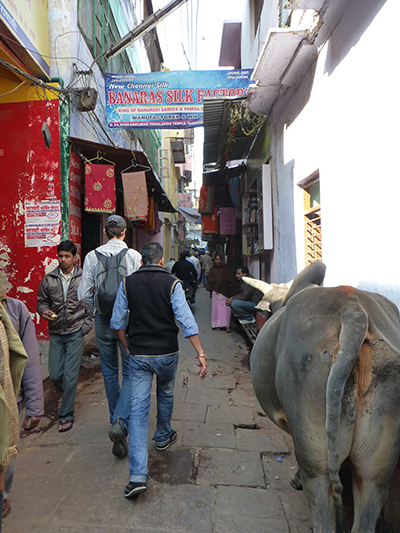 Another shot of one of the lively streets in the old section of the city. 