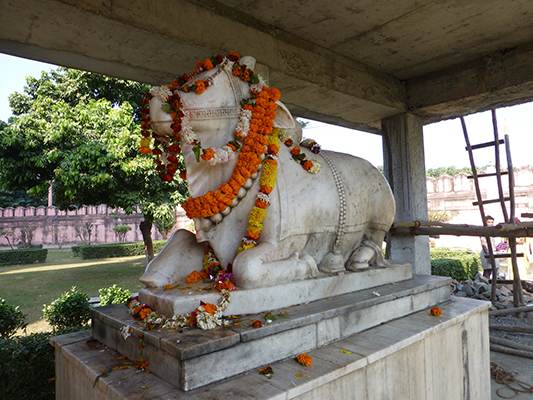 I love how they decorate the cows at some of the Hindu temples. 