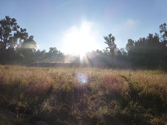 One spot where a female tiger and her cubs frequent.
