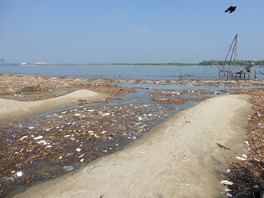 Sadly, there was a lot of trash in the water. Plastic is really difficult to manage. 