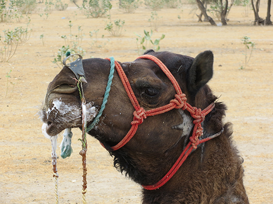 Inches from my face...