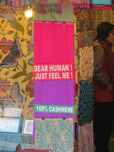 A funny sign we saw in Kathmandu at one of the shops. Nepali people seem in general to be good humored. 