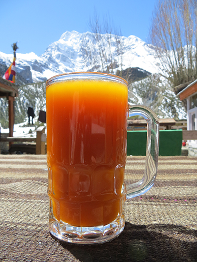 Seabuckthorn juice. This juice is from a fruit that grows only at higher elevation. It was yummy.