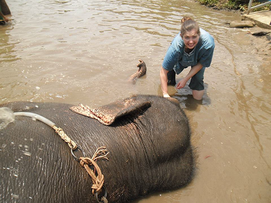 Sarah scrubbing the elephant.