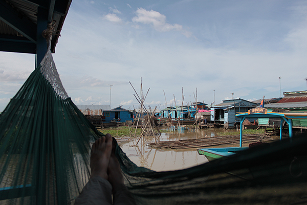 View from the hammock